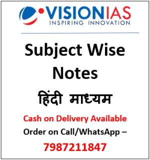 Vision Customized Notes (Hindi Medium)